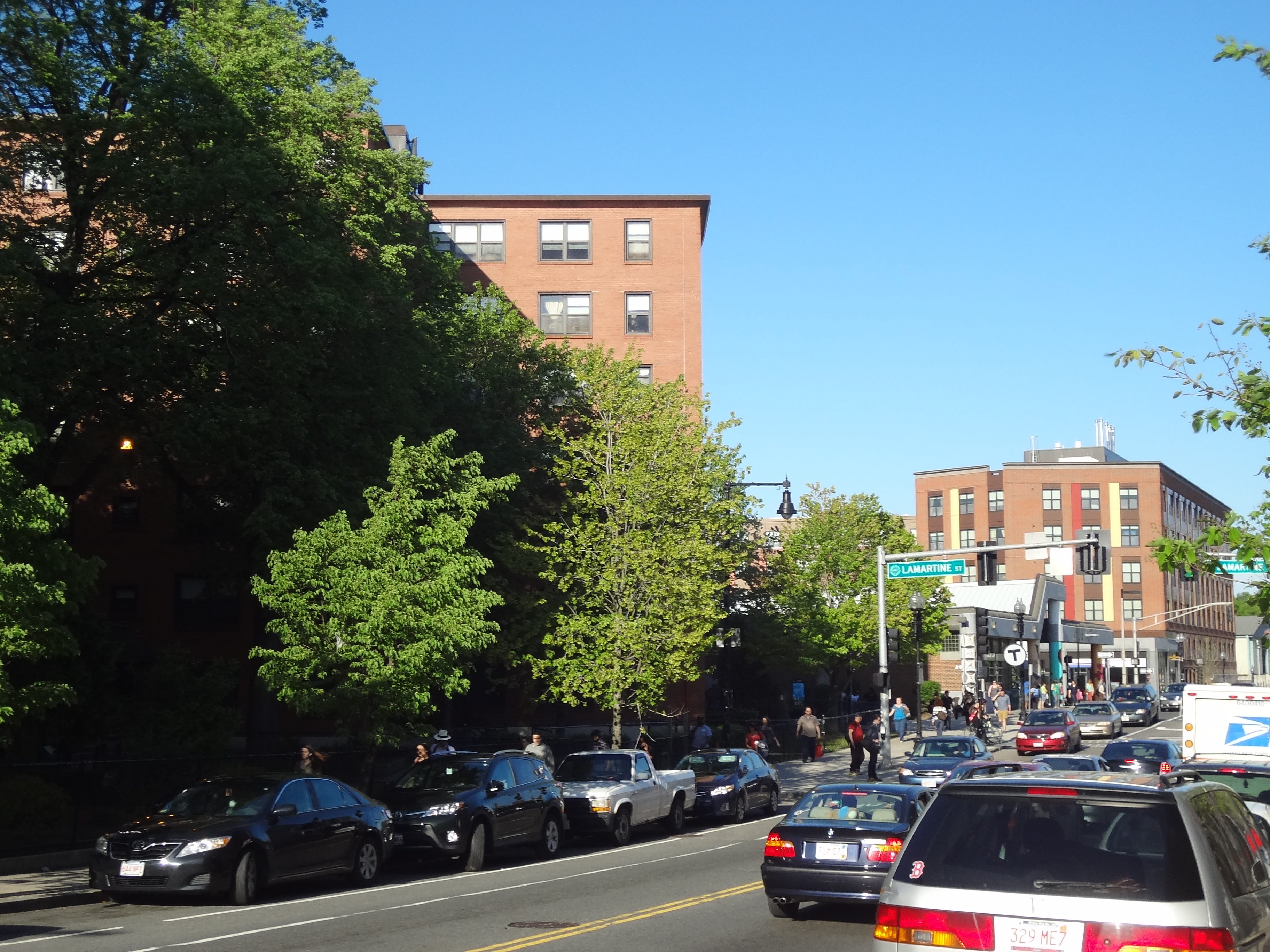 Lamartine Street in Jamaica Plain